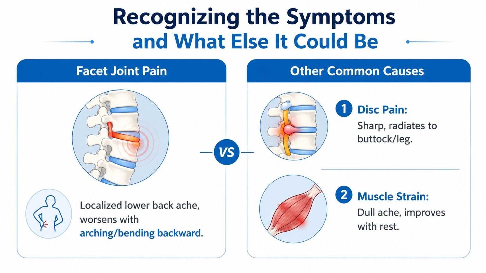 An infographic comparing symptoms of facet joint pain with disc pain and muscle strain causes.