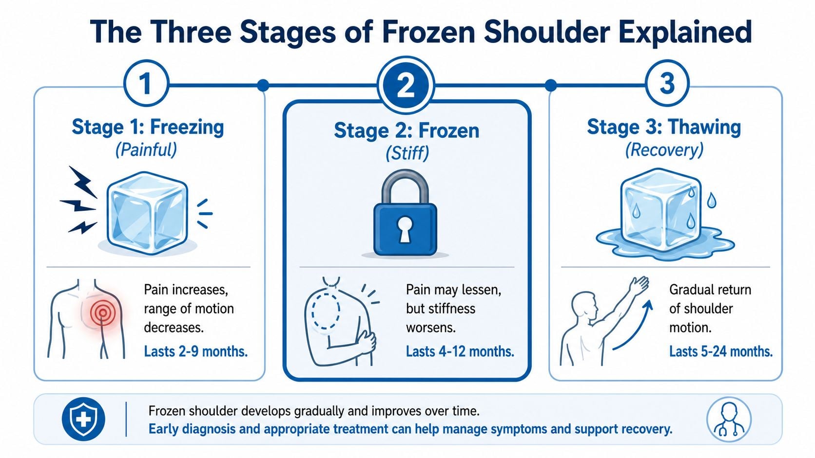 An infographic detailing the three progressive stages of frozen shoulder: freezing, frozen, and thawing phases.