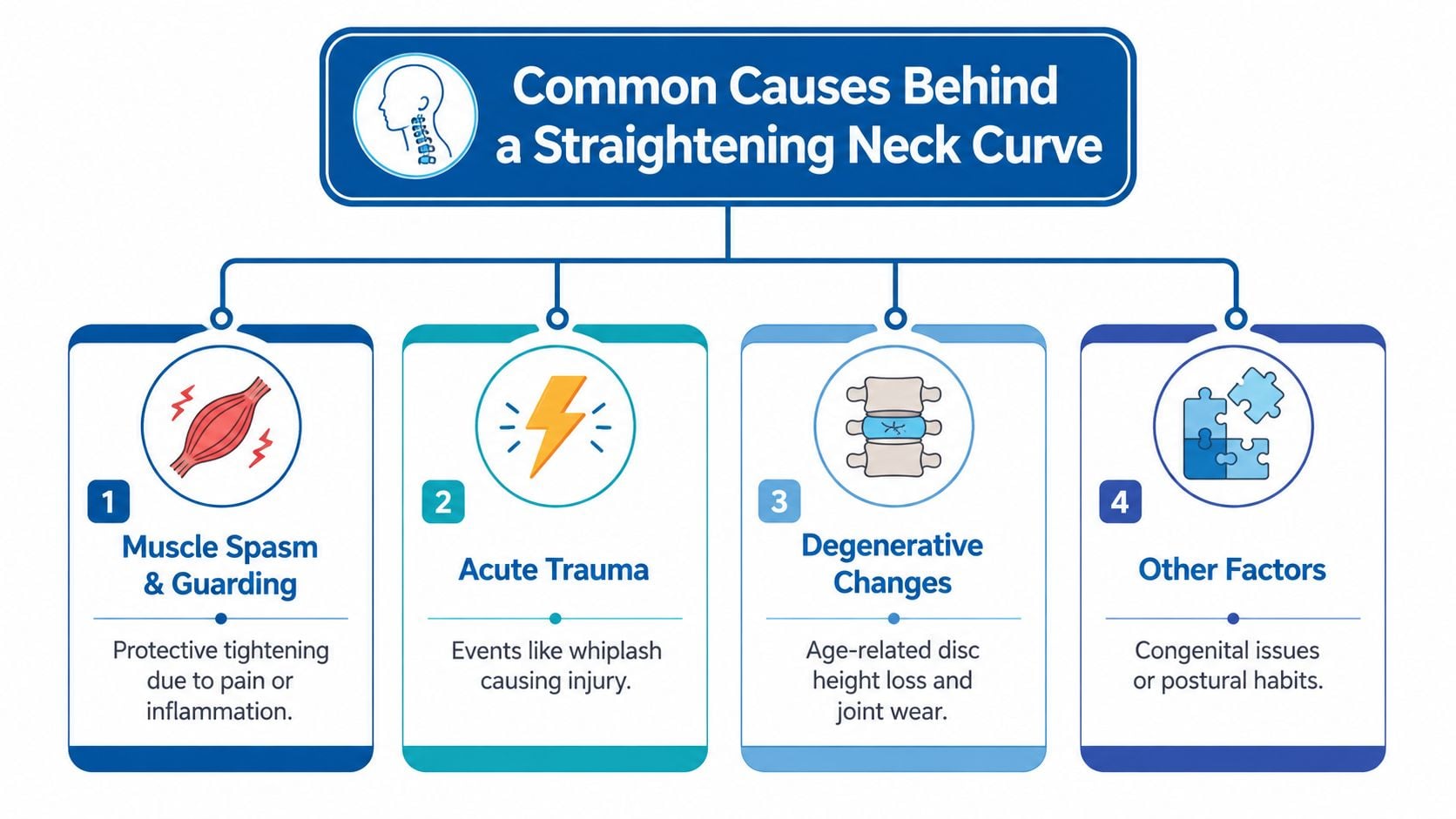 An infographic outlining four primary causes for a straightening neck curve including muscle spasms, trauma, and aging.