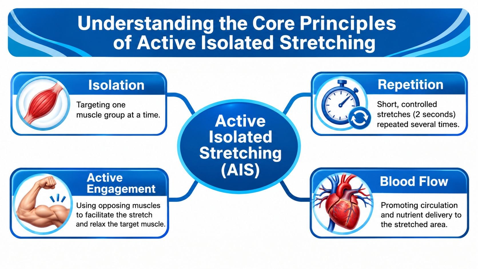 A diagram illustrating the four core principles of Active Isolated Stretching: Isolation, Repetition, Active Engagement, and Blood Flow.