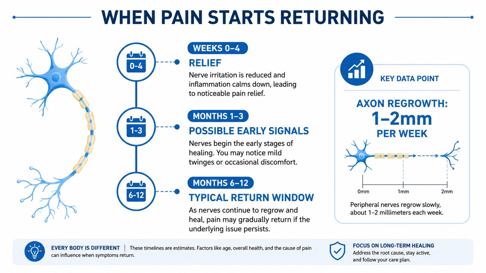 An infographic showing nerve regeneration timelines and the expected window for potential pain return after treatment.