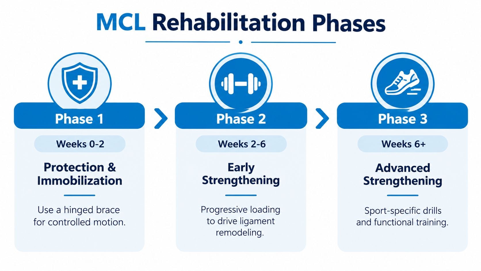 A diagram outlining the three phases of MCL tear recovery, including timeframes and key rehabilitation activities.