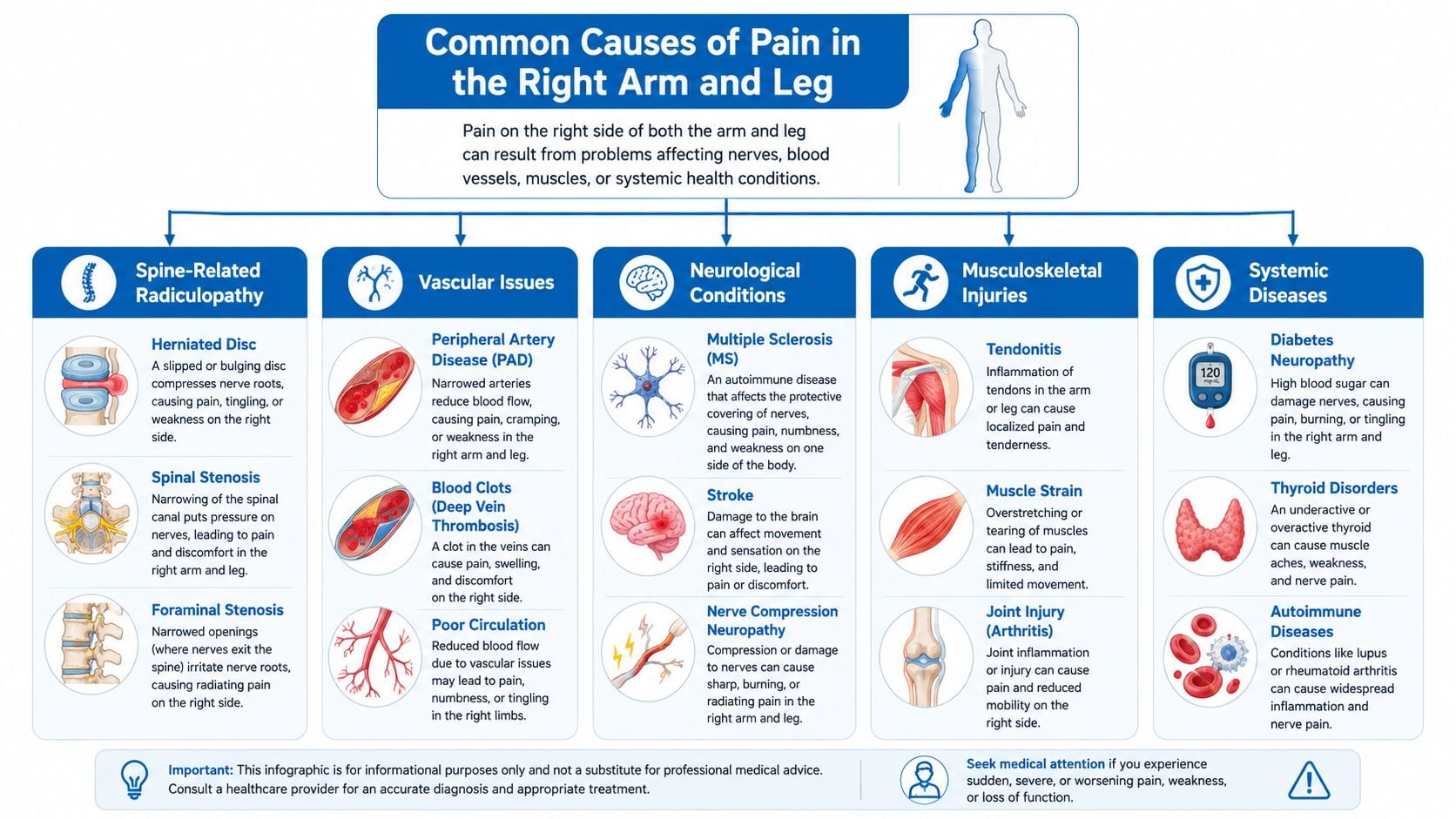 An infographic detailing common medical causes for pain in the right arm and leg.