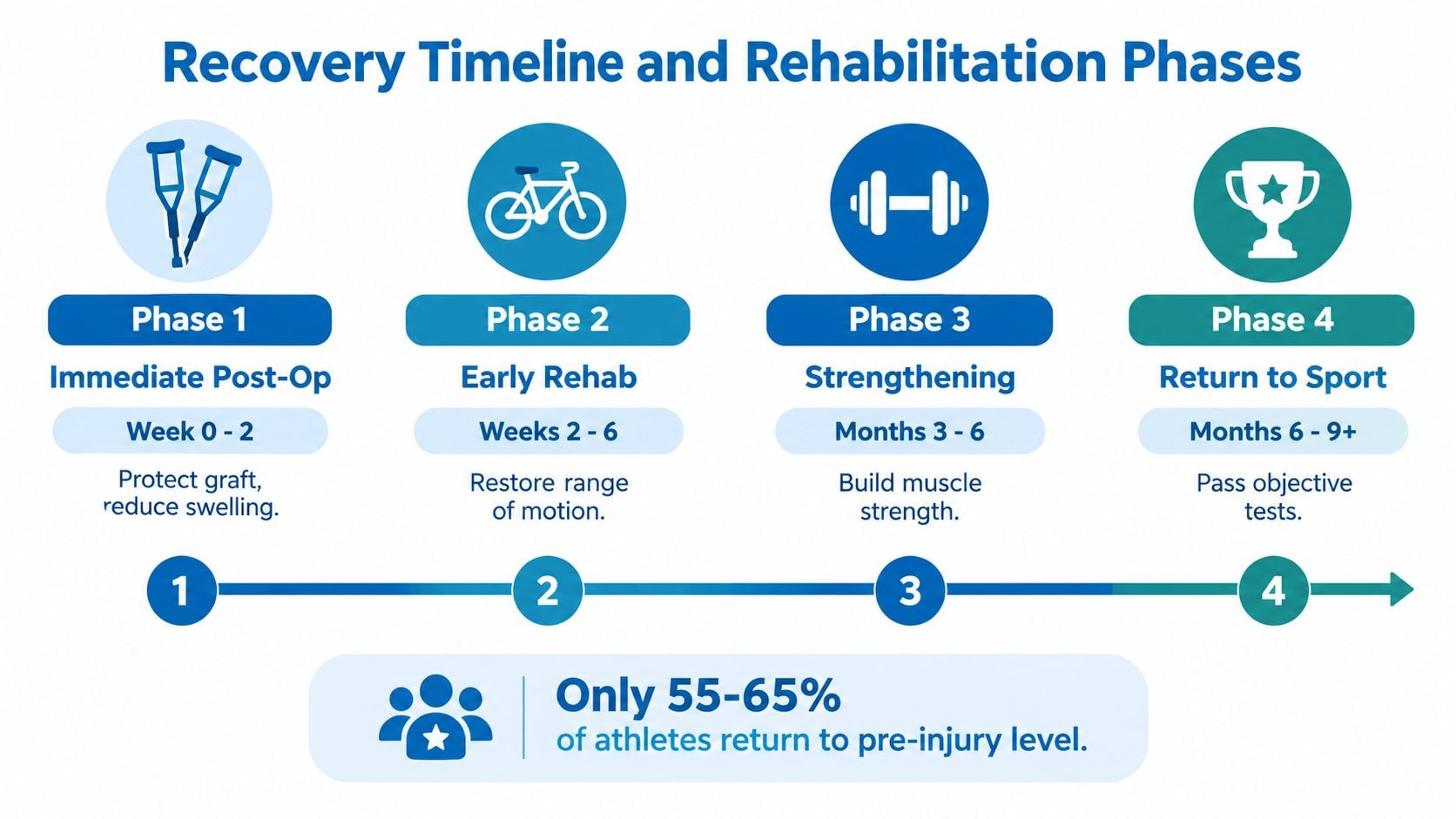 A recovery timeline chart detailing four rehabilitation phases for patients following arthroscopic ACL reconstruction surgery.
