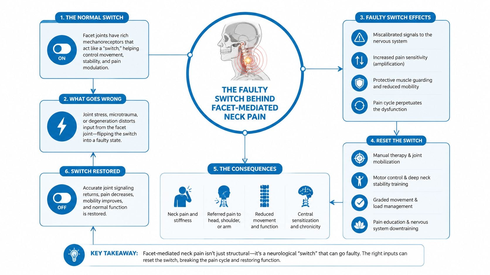 A diagram explaining how facet joint dysfunction causes neck pain through a neurological switch mechanism and treatment.