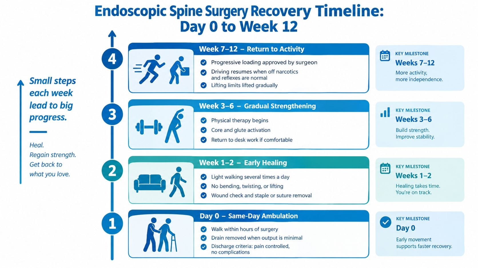 A 12-week endoscopic spine surgery recovery timeline infographic detailing physical milestones from day zero through week twelve.