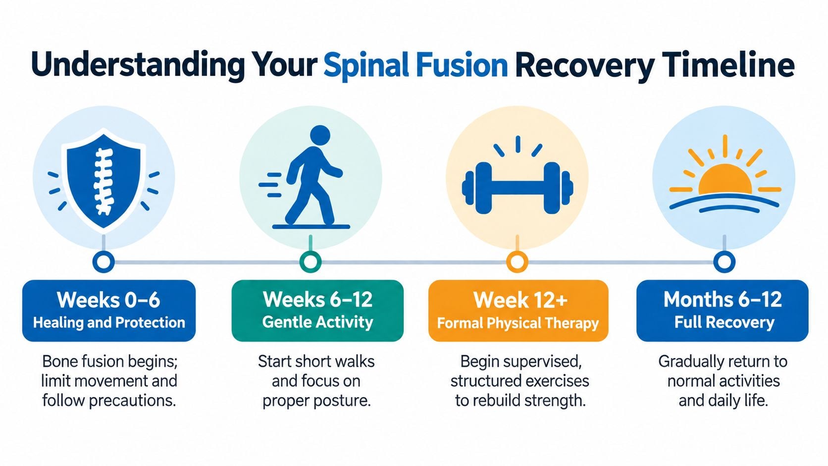A timeline graphic showing four stages of spinal fusion recovery, from healing to full physical rehabilitation.