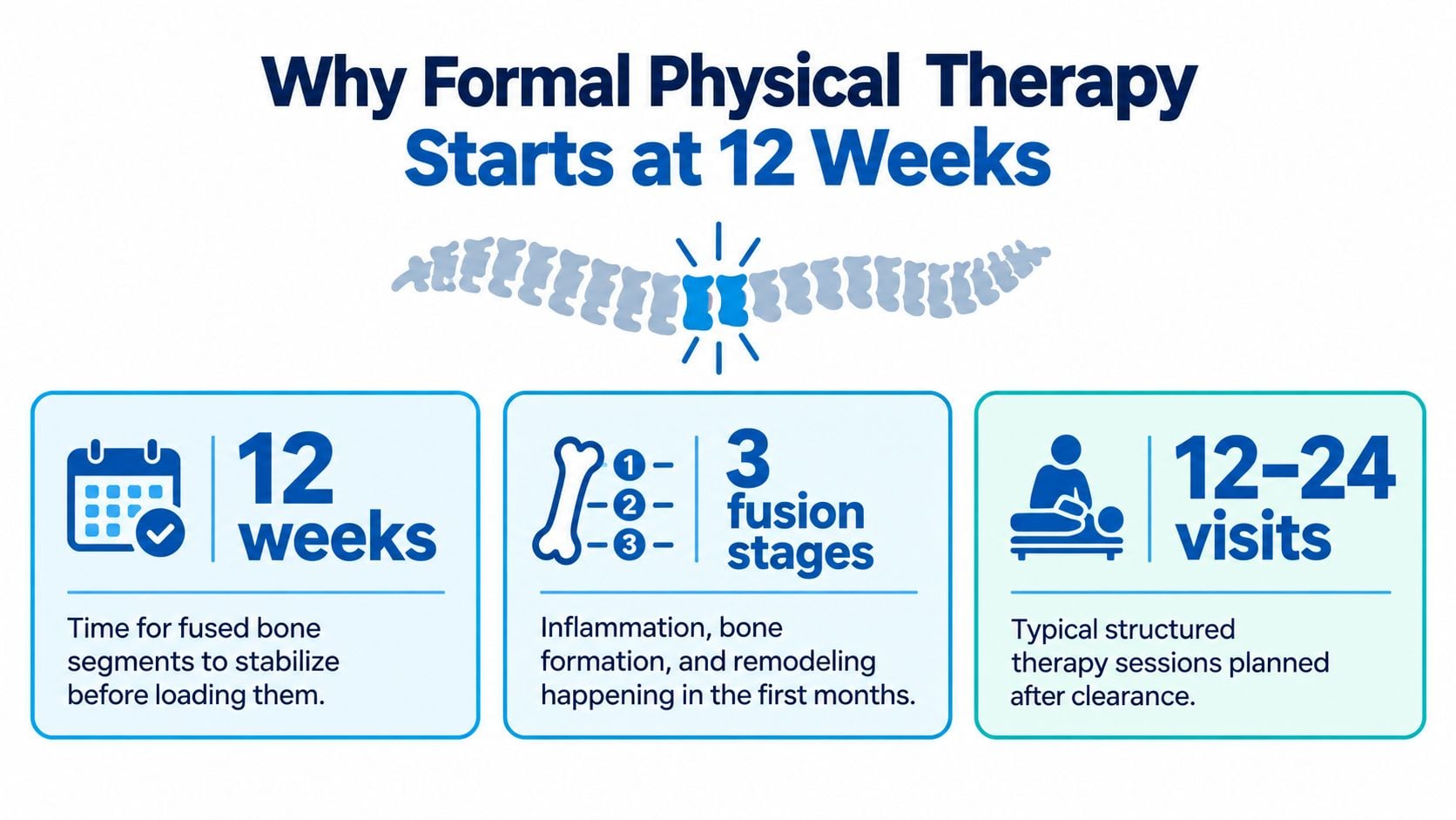 An infographic explaining why formal physical therapy for spinal fusion begins after twelve weeks of recovery.
