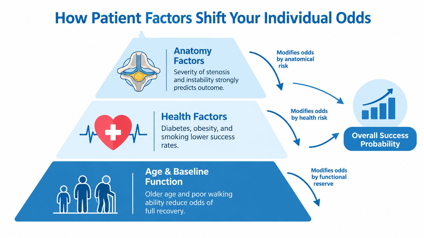 A diagram illustrating how anatomy, health factors, and age influence the overall success probability of spinal surgery.