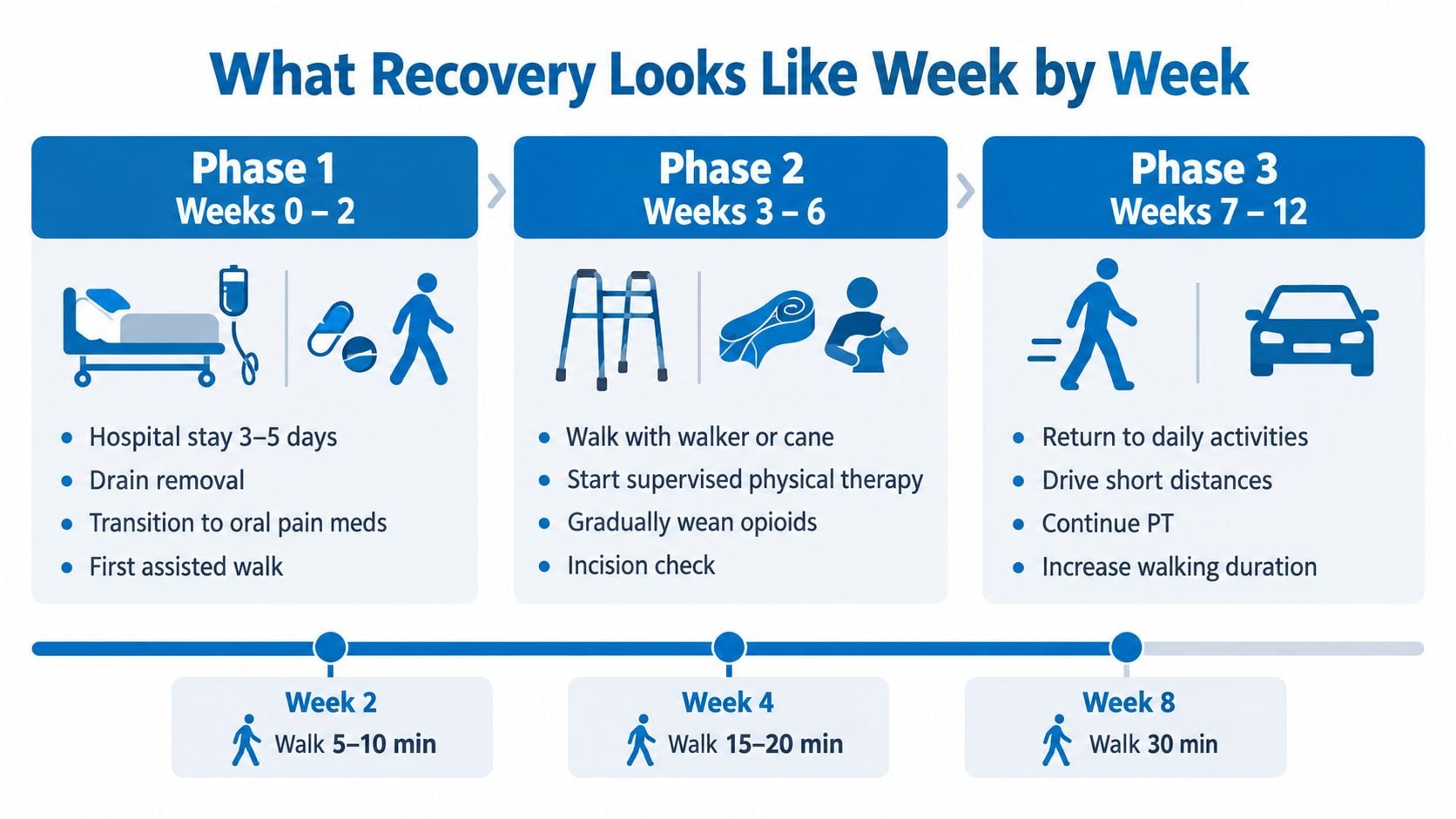 A visual timeline infographic outlining the three recovery phases and milestones after thoracic lumbar fusion surgery.